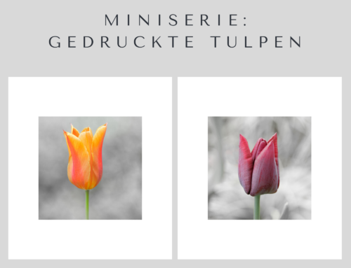 Gedruck­te Tulpen