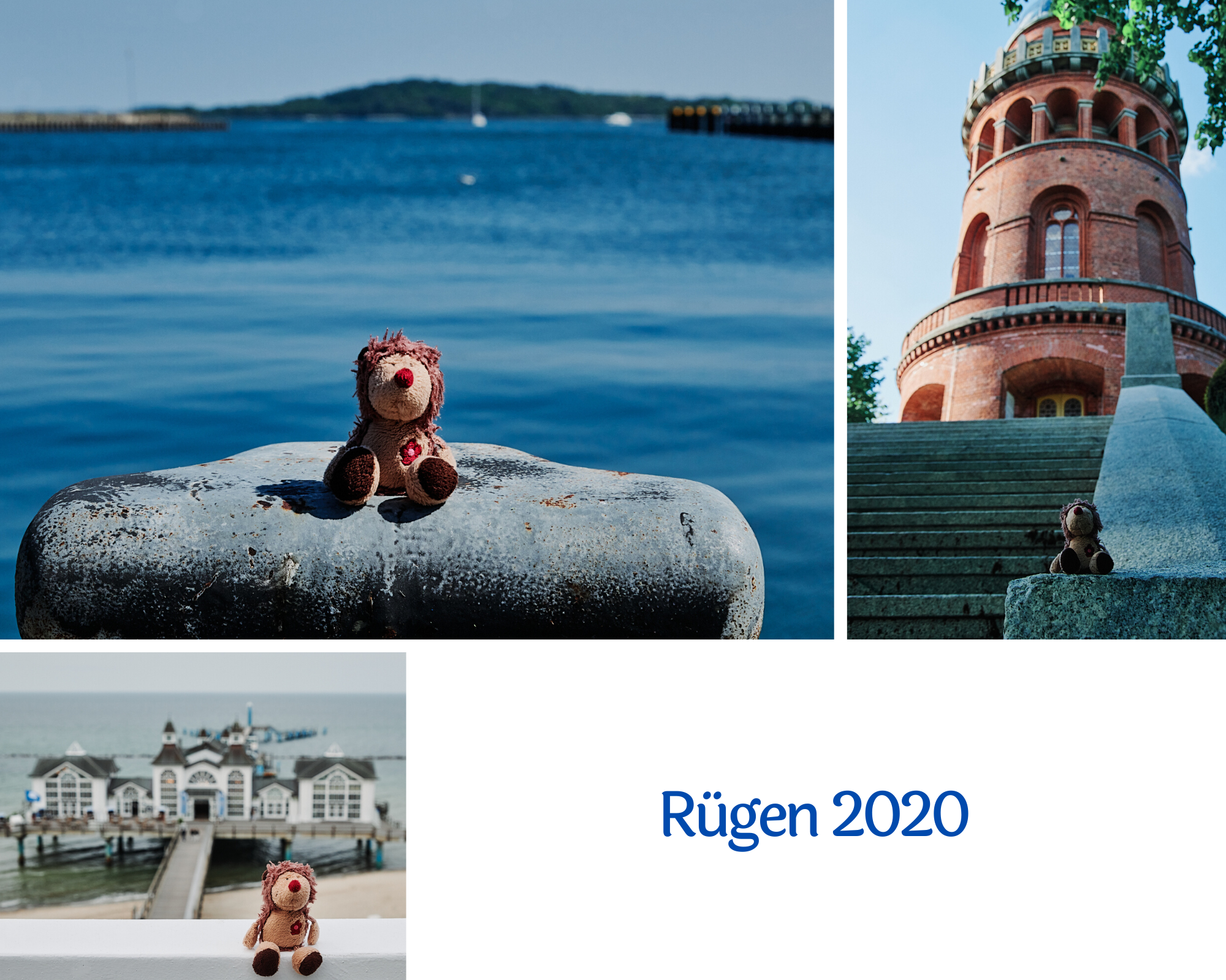 Titelbild: Flauschi auf Rügen 2020